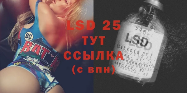 крисы Магас