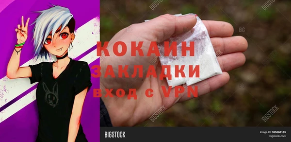 крисы Магас