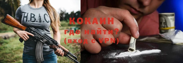 крисы Магас