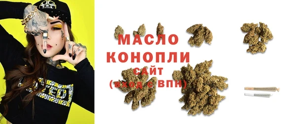 крисы Магас