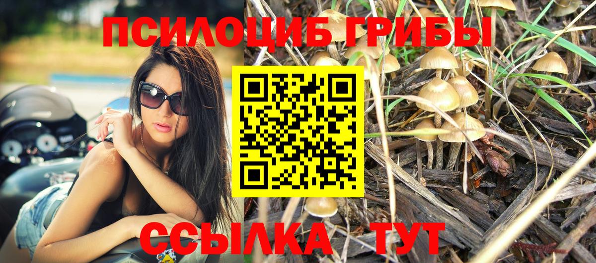 Псилоцибиновые грибы MAGIC MUSHROOMS  Вход с VPN  хочу наркоту  Мариинск  Псилоцибиновые грибы прущие грибы 