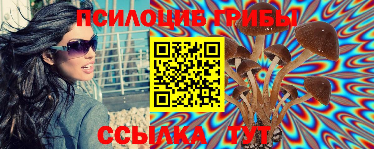Галлюциногенные грибы Psilocybine cubensis  Мариинск 